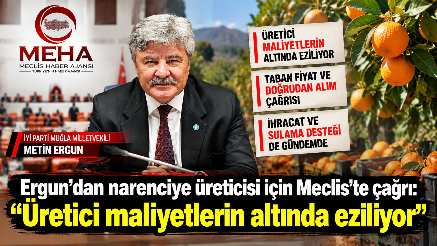 Ergun’dan narenciye üreticisi için Meclis’te çağrı: “Üretici maliyetlerin altında eziliyor”