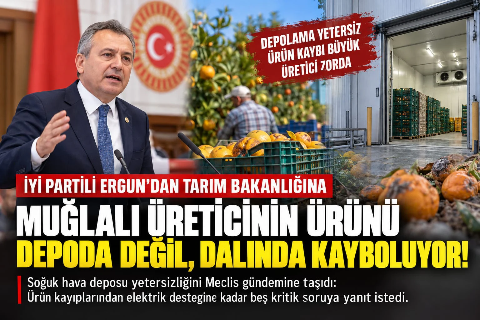 Muğlalı üreticinin ürünü depoda değil, dalında kayboluyor!